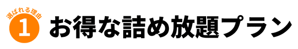 お得な詰め放題プラン